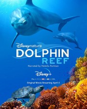 Dolphin Reef-full