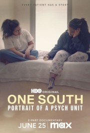 One South: Portrait of a Psych Unit-full