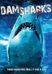 Dam Sharks!-full