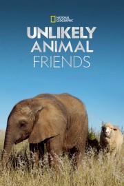 Unlikely Animal Friends-full