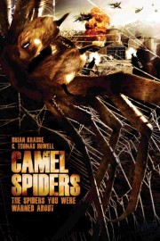 Camel Spiders-full