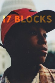 17 Blocks-full