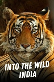 Into the Wild: India-full