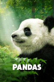 Pandas-full