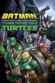 Batman vs. Teenage Mutant Ninja Turtles-full