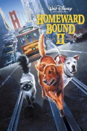 Homeward Bound II: Lost in San Francisco-full