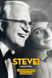 STEVE! (martin) a documentary in 2 pieces-full