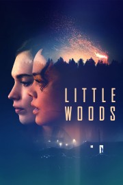 Little Woods-full