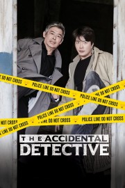 The Accidental Detective-full