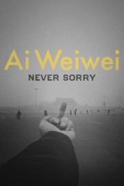 Ai Weiwei: Never Sorry-full