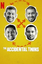 The Accidental Twins-full
