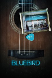 Bluebird-full