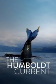 The Humboldt Current-full