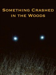 Something Crashed in the Woods-full