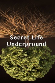 Secret Life Underground-full