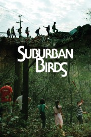 Suburban Birds-full